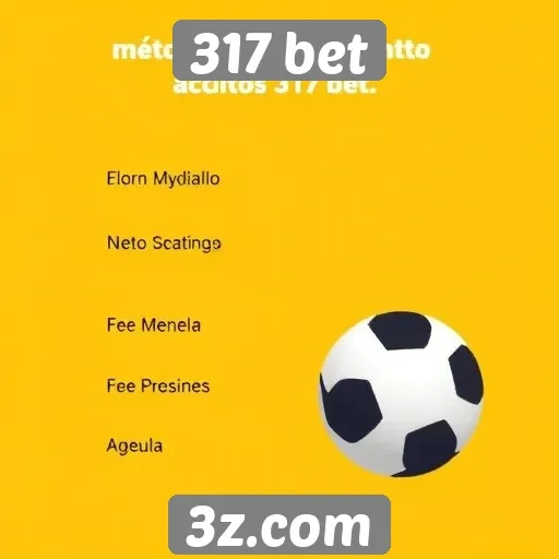 Métodos de pagamento aceitos na 317 bet